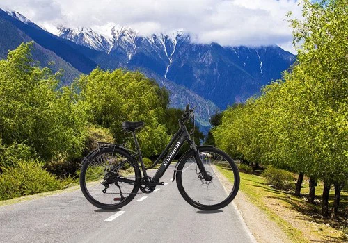 electric mountain bike