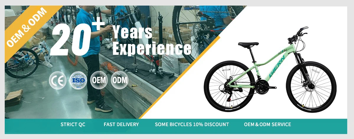 bicycle factory for more than 20 years bicycle factory for more than 20 years