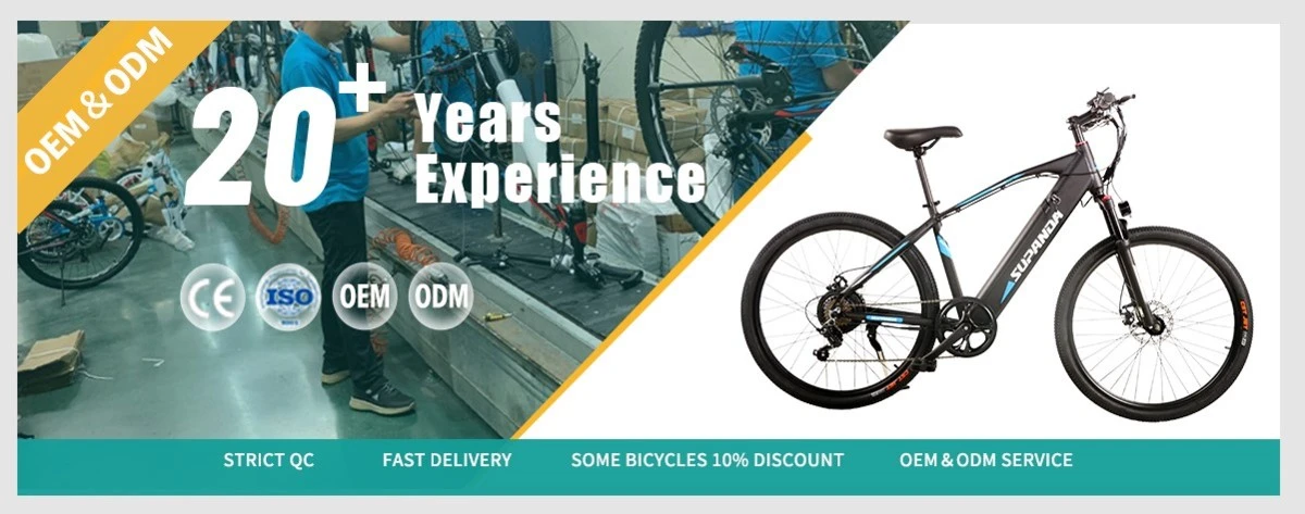 ebike factory manufacture ebike factory manufacture