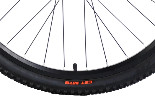 CST tire CST tire