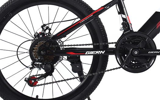 Derailleur system Derailleur system