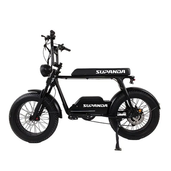 Electric fat tire bike (2)