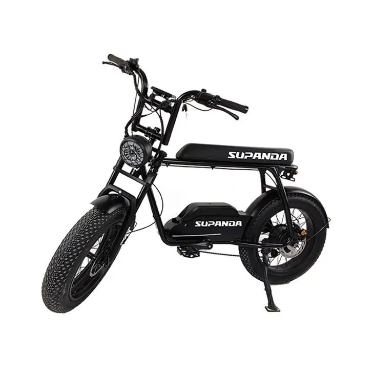 Electric fat tire bike (3)