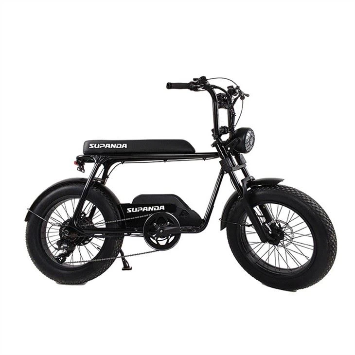 Electric fat tire bike (5)