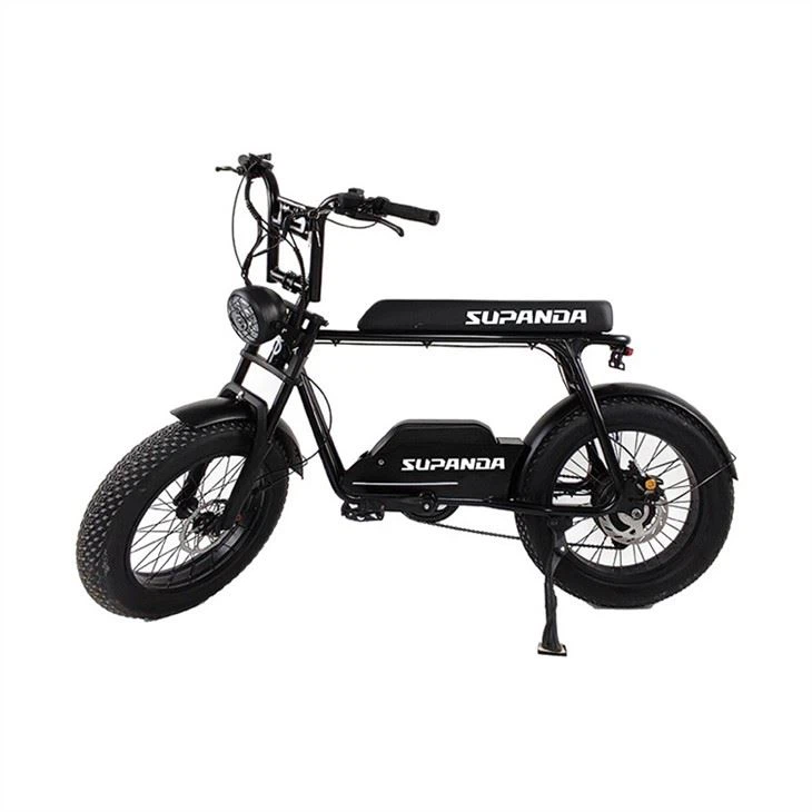 Electric fat tire bike (4)