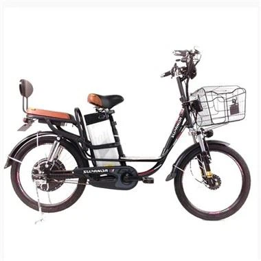 Smart City E Bike