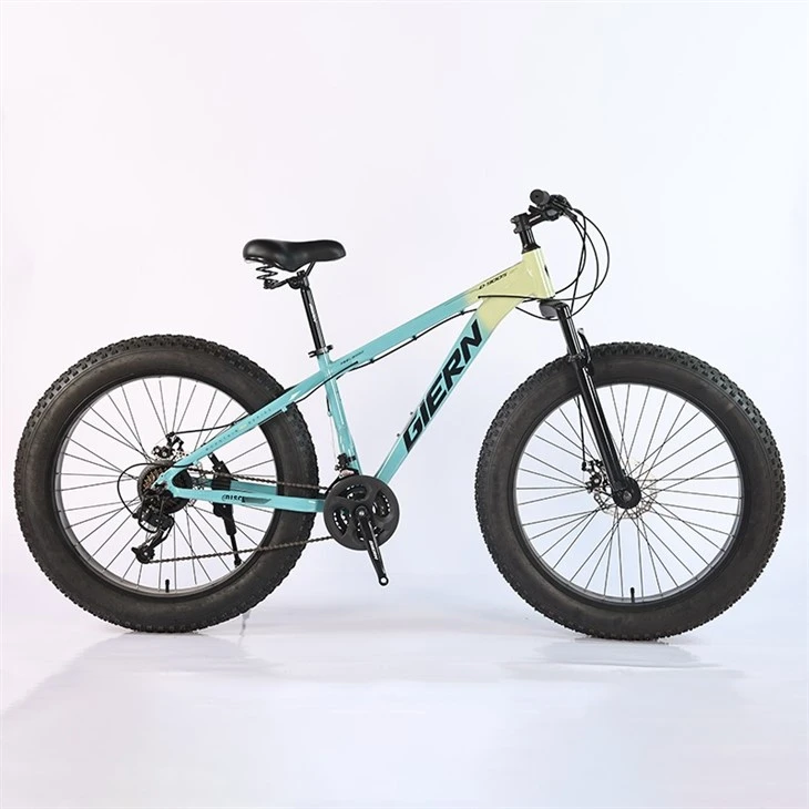 26 Inch Fat Tire Mountain Bike