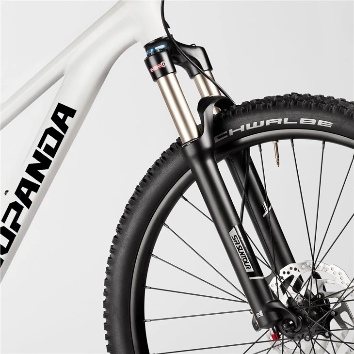 Carbon Cross Country Bike