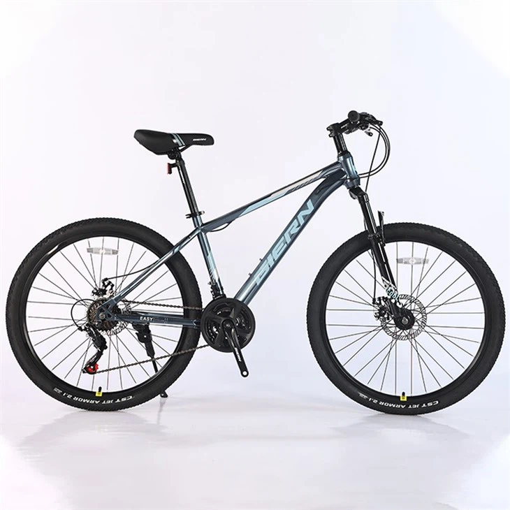 Gravel Bike Hardtail