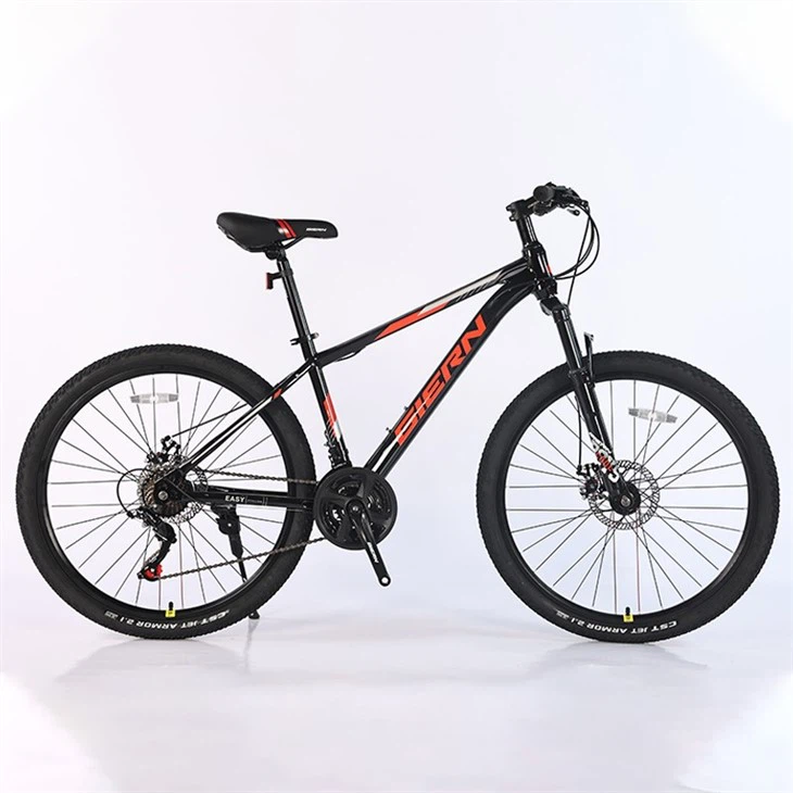 Gravel Bike Hardtail