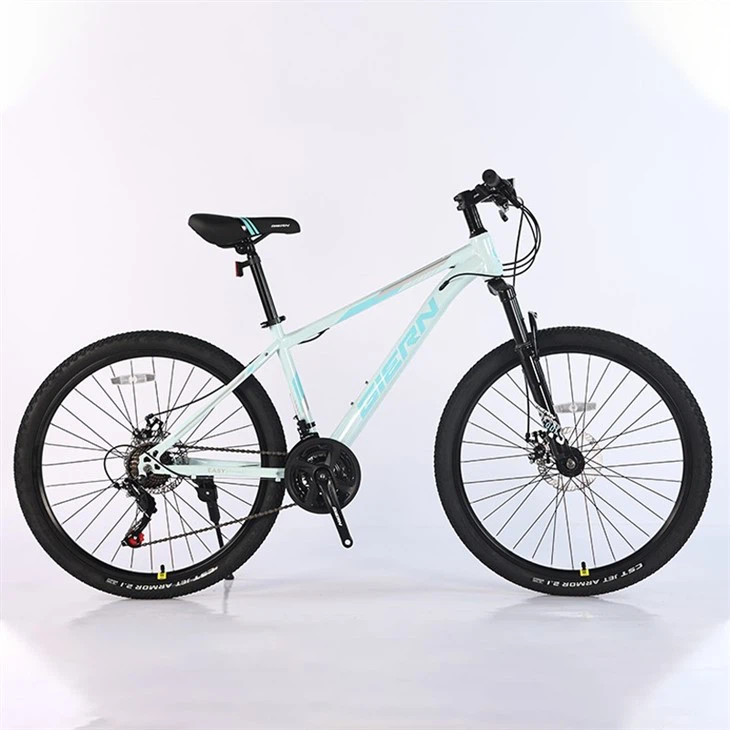 Gravel Bike Hardtail
