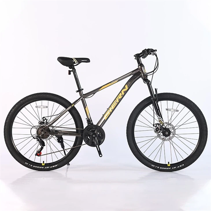 Gravel Bike Hardtail