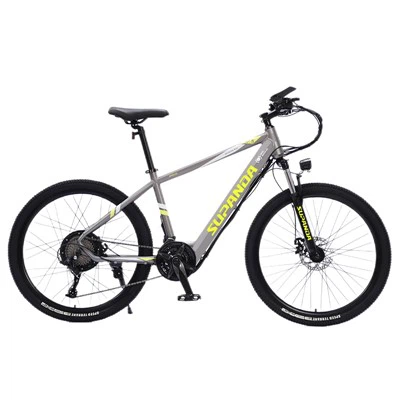 29 Inch E Mountain Bike