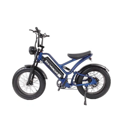 Fat Tire Mountain Ebike