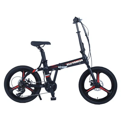 Folding 20 Inch Electric Bike