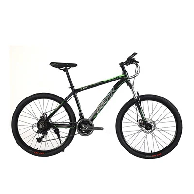 Hardtail Enduro Mountain Bike