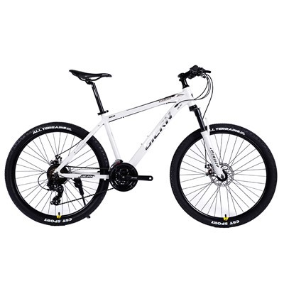 Hardtail Hybrid Bike