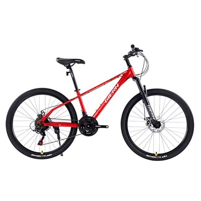 High Carbon Steel Mountain Bike