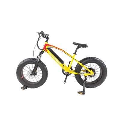 Xs Electric Mountain Bike