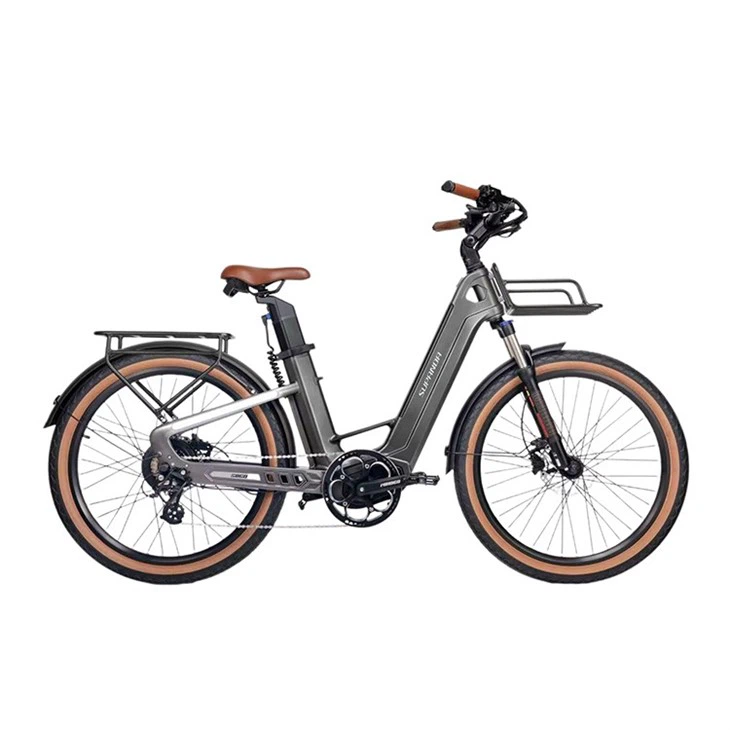 Carbon Fiber Frame Adult City Bike suppliers