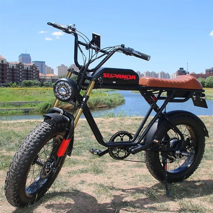 Double Motor Ebike