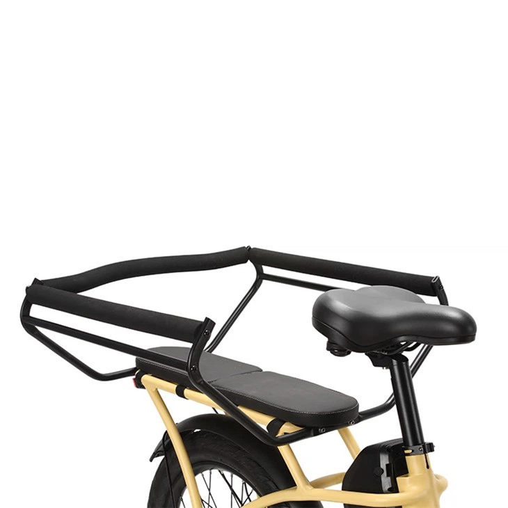 Family Ebikes Cheap Cargo Ebike factory