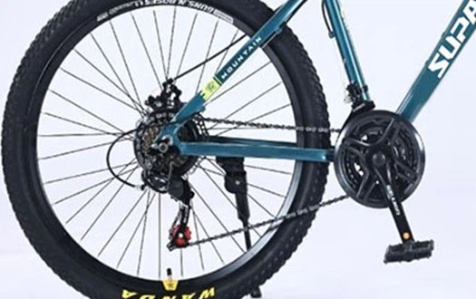 freewheel freewheel