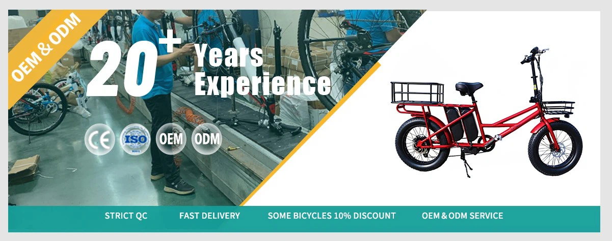 cargo ebike cargo ebike
