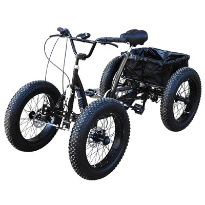 20 Inch Snow Four-wheeler Bike