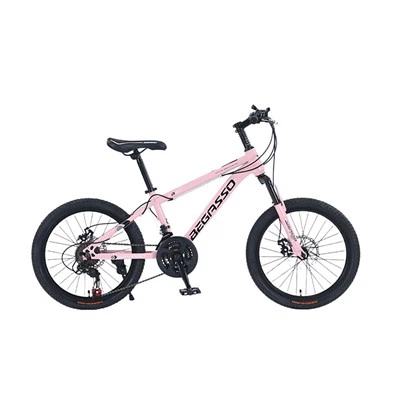 22 Inch Hardtail Mountain Bike