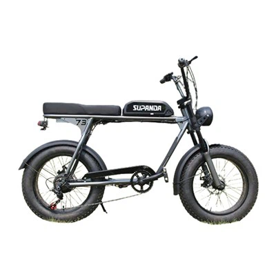 500 Watt Mountain Bike