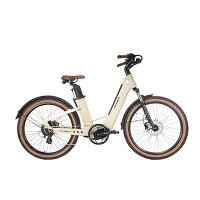 Carbon Fiber Frame Adult City Bike