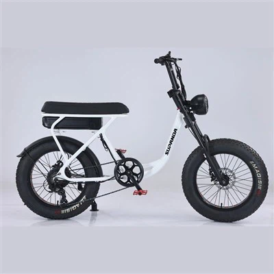 Double Crown Ebike