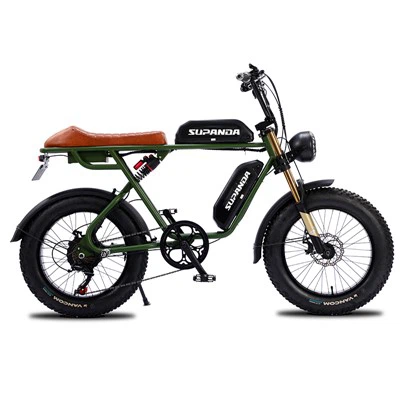 Double Motor Ebike