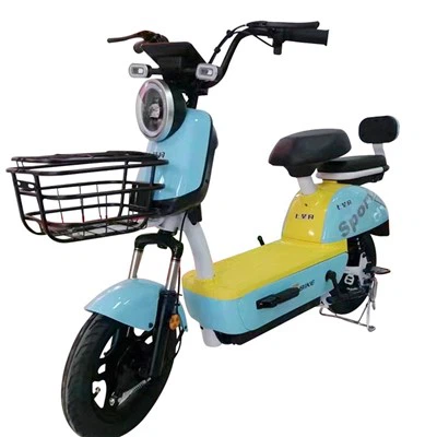 Electric Bike For Students