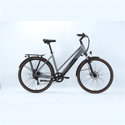 Electric Mountain City Bike