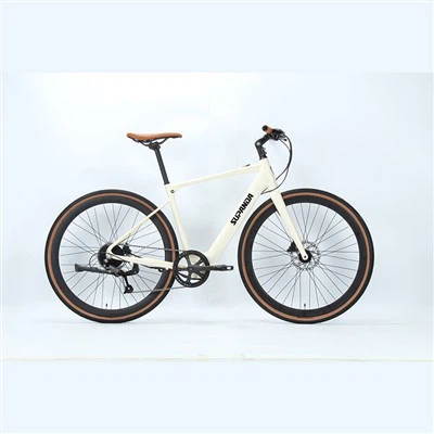 Hybrid Frame Electric Bike