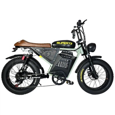 Off Road Electric Mountain Bike