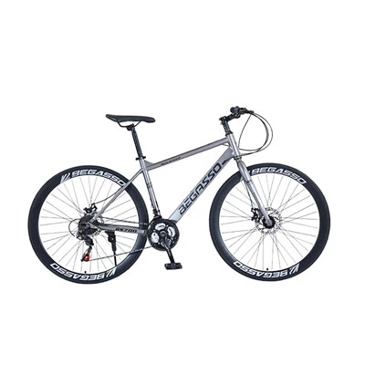 Straight Handlebar Road Bike